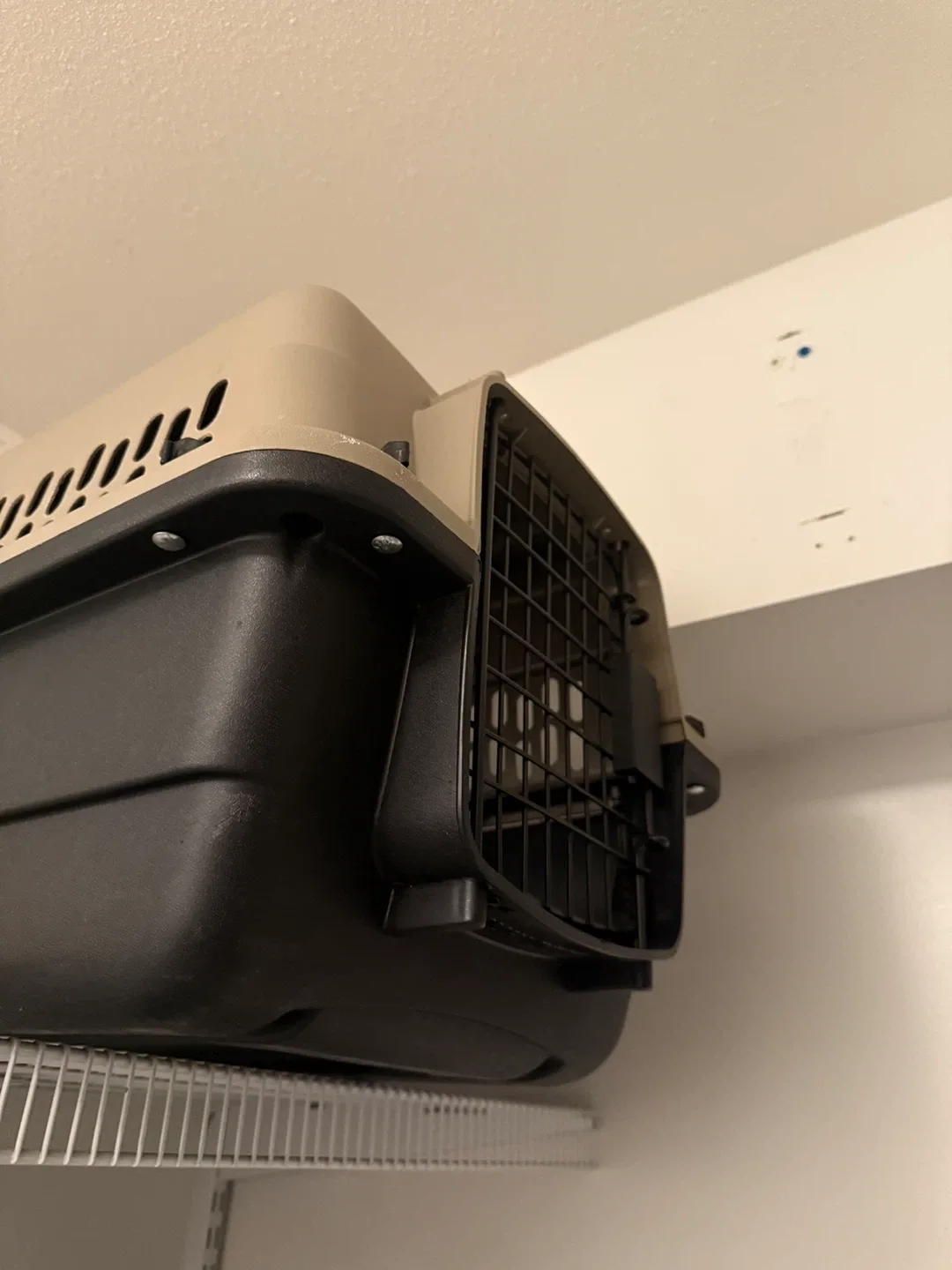 Petmate Pet Carrier Kennel