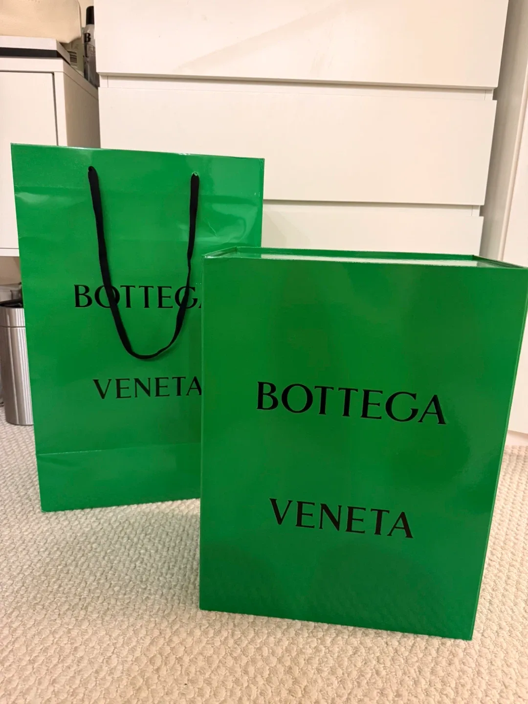 Bottega Veneta XL box and bag