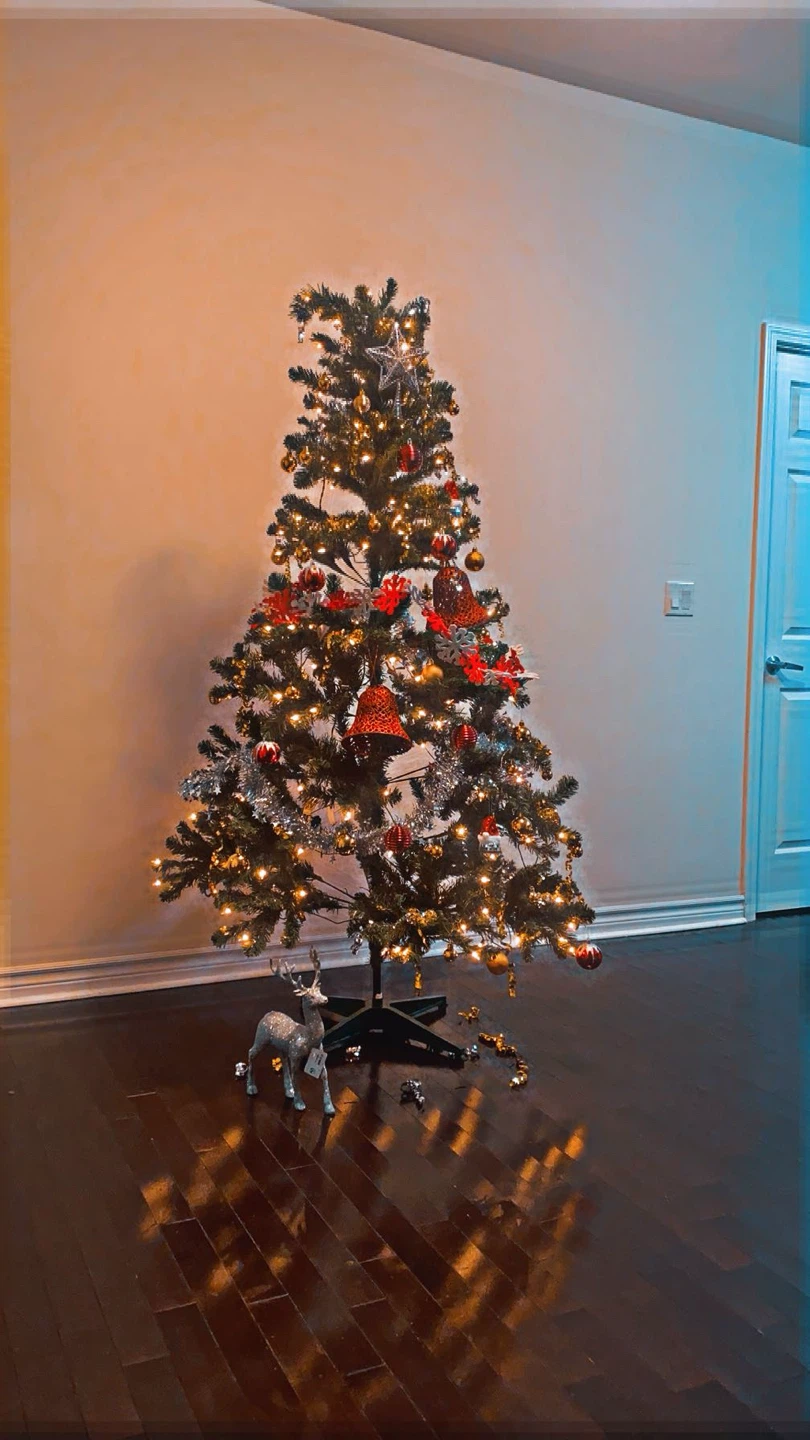 Christmas Tree 6 1/2 feet tall