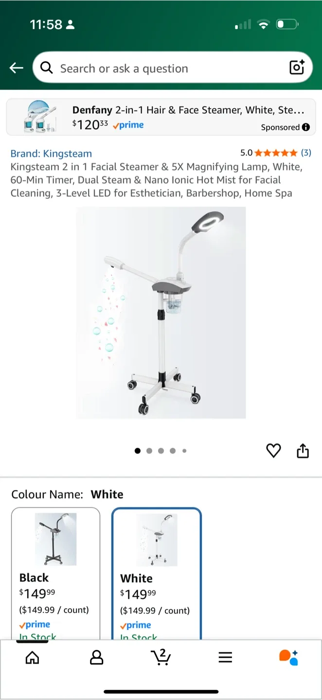 Kingsteam 2-in-1 Hair & Face Steamer