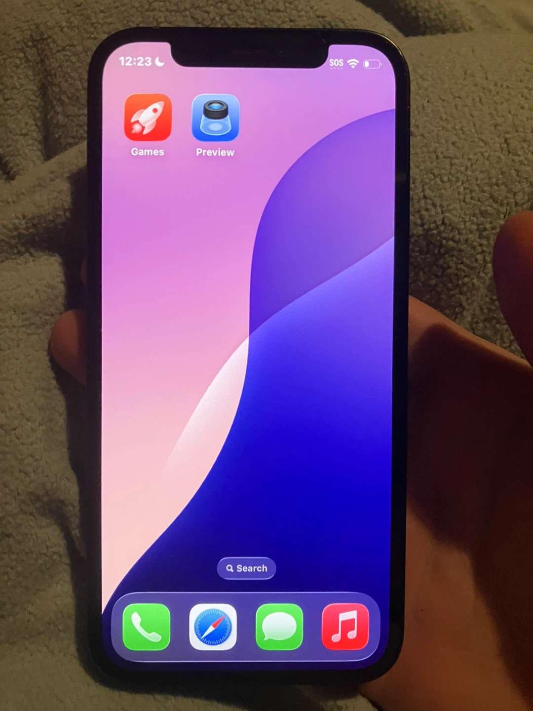 Apple iPhone 12 - photo 2