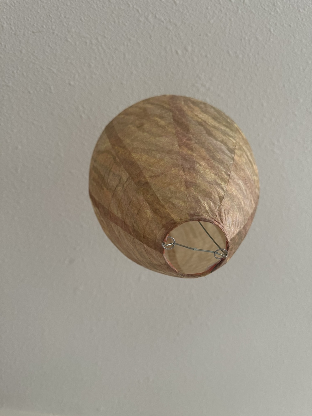 Wasp Nest Decoy - Deterrent for Hornets & Yellow Jackets - photo 4