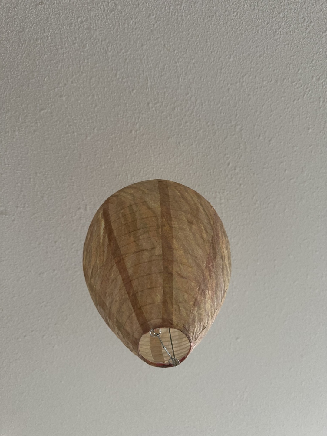 Wasp Nest Decoy - Deterrent for Hornets & Yellow Jackets - photo 2