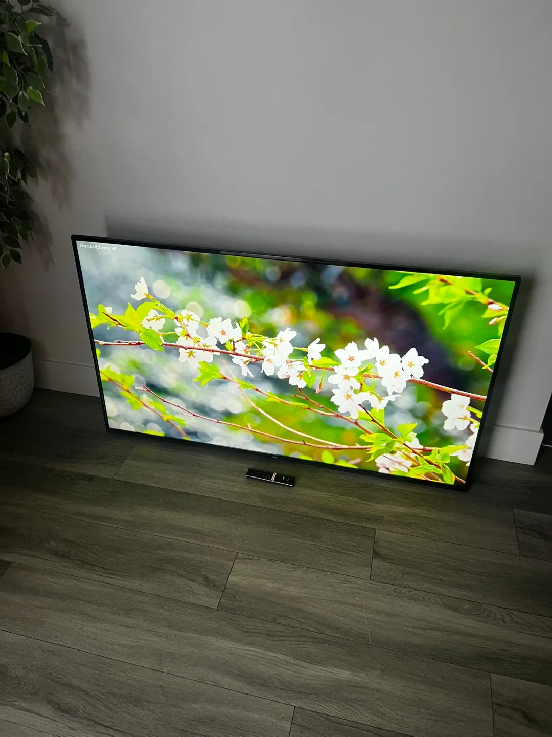 55" 4K Android Smart TV image indicator(10)