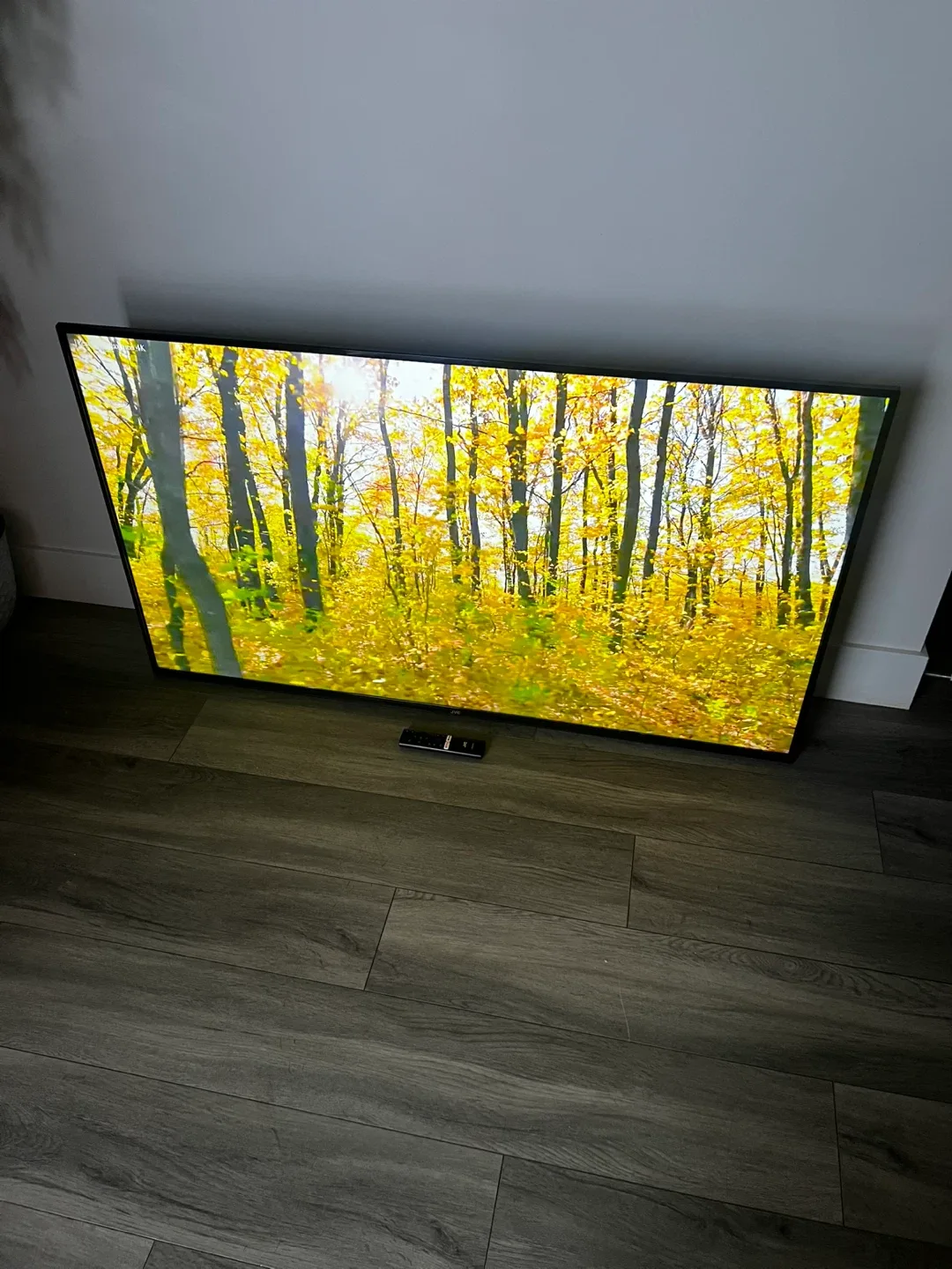 55" 4K Android Smart TV image indicator(9)