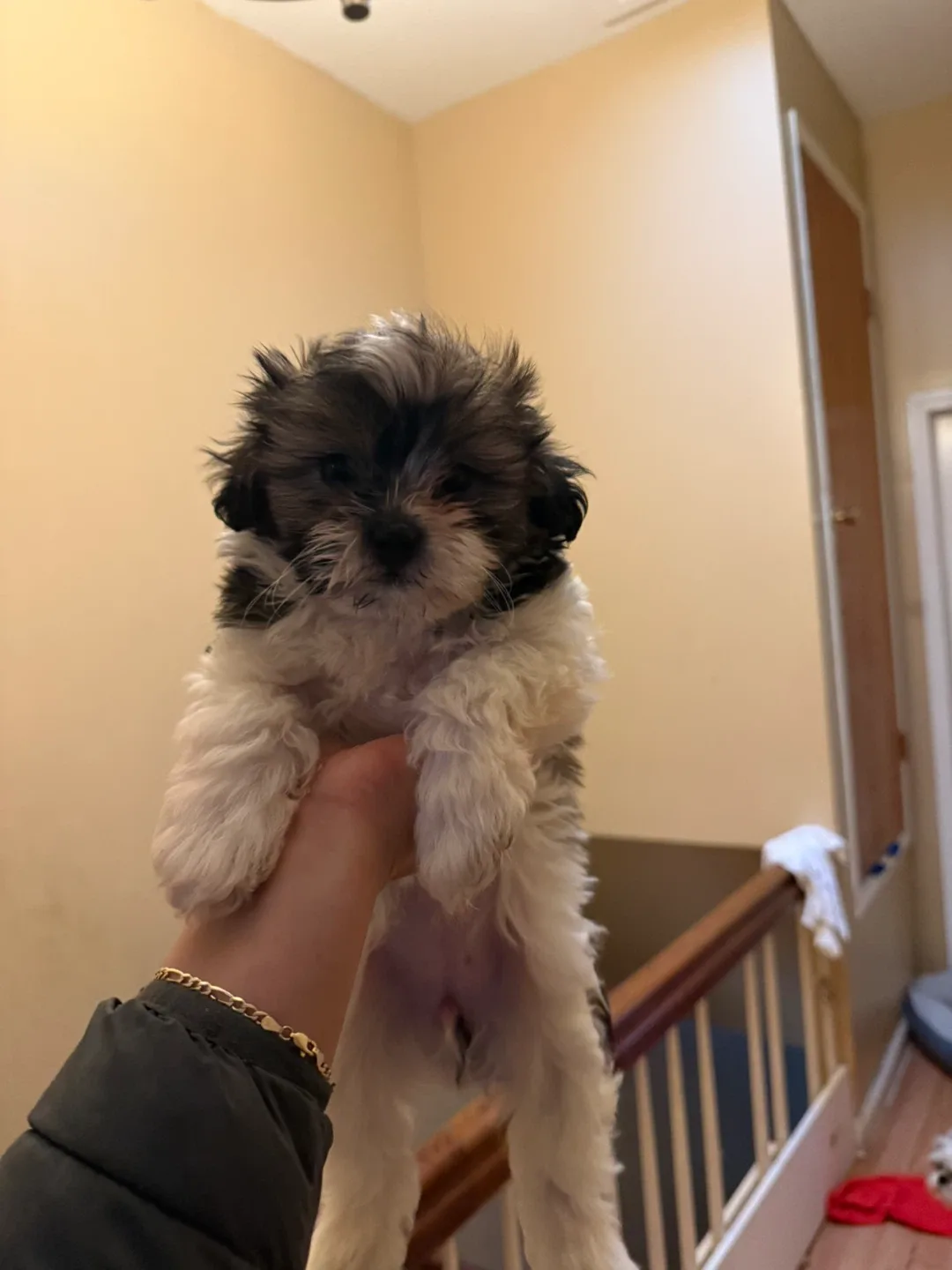 Se busca hogar image indicator(4)