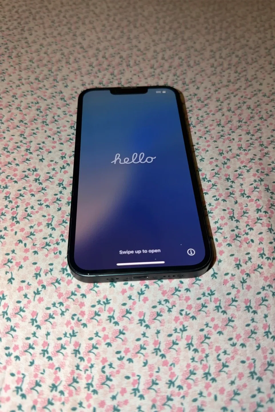 Apple iPhone 13 - Blue