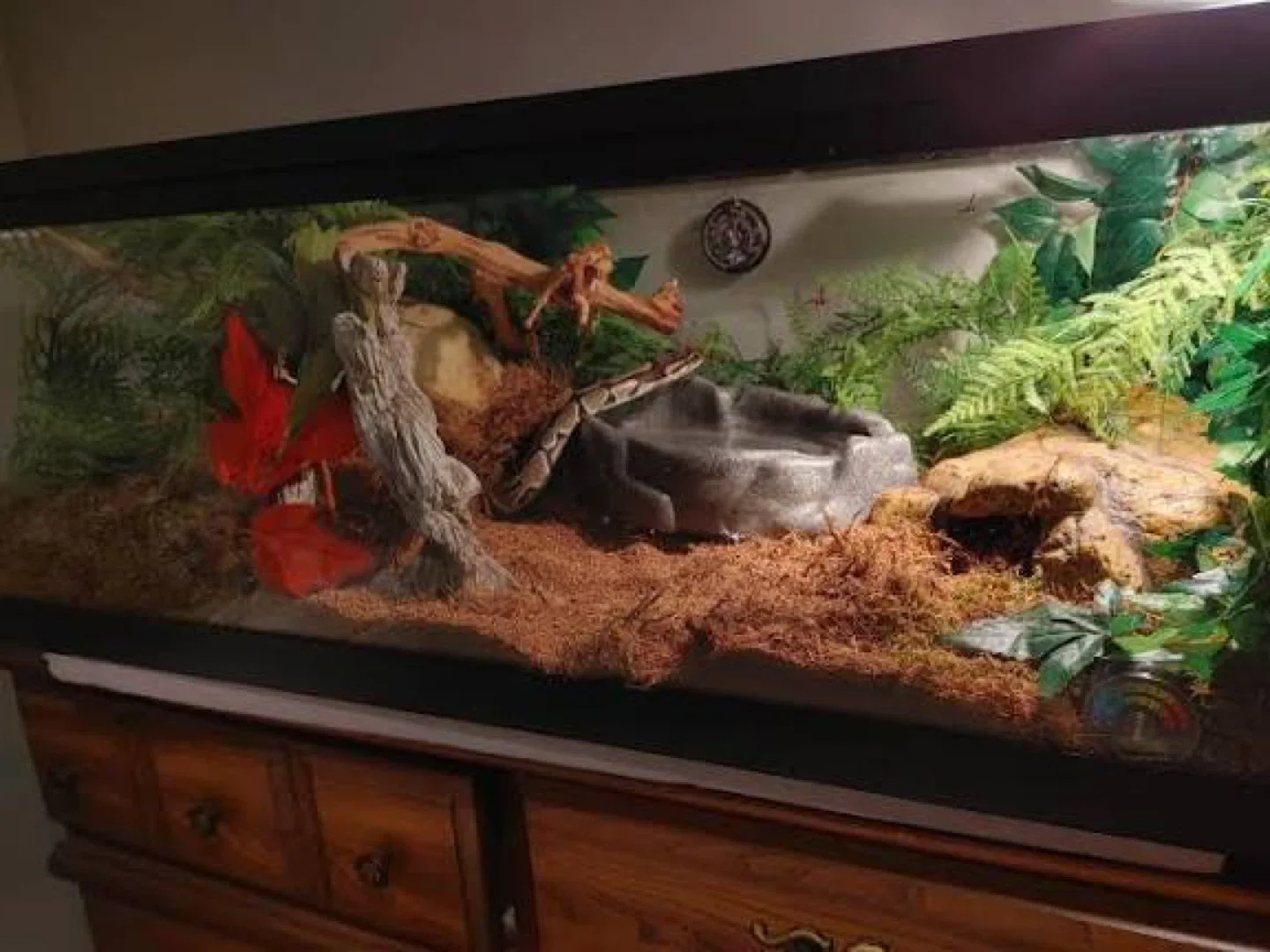 Large 75 Gallon Aquarium/Terrarium with Light image indicator(9)