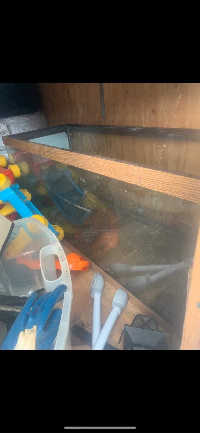 Large 75 Gallon Aquarium/Terrarium with Light