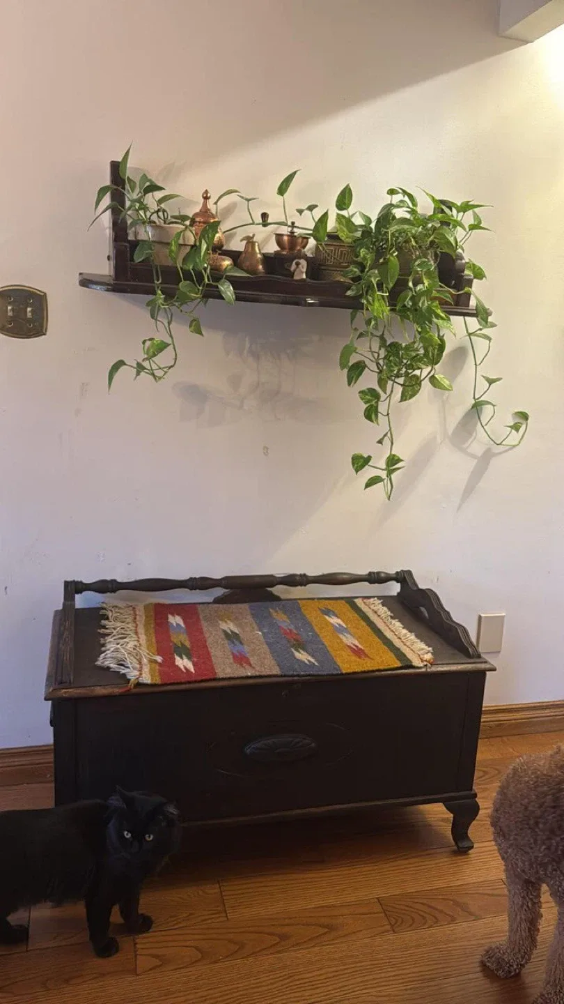Antique Wooden Storage Trunk with shelf