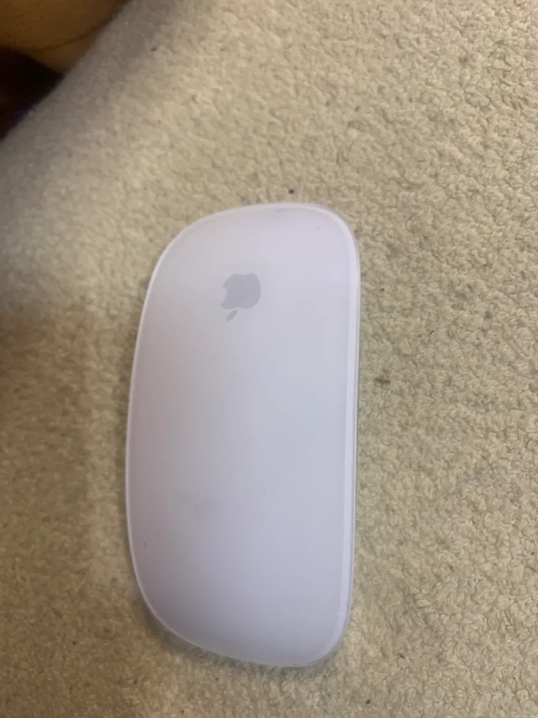 Apple Magic Mouse - White image indicator(3)