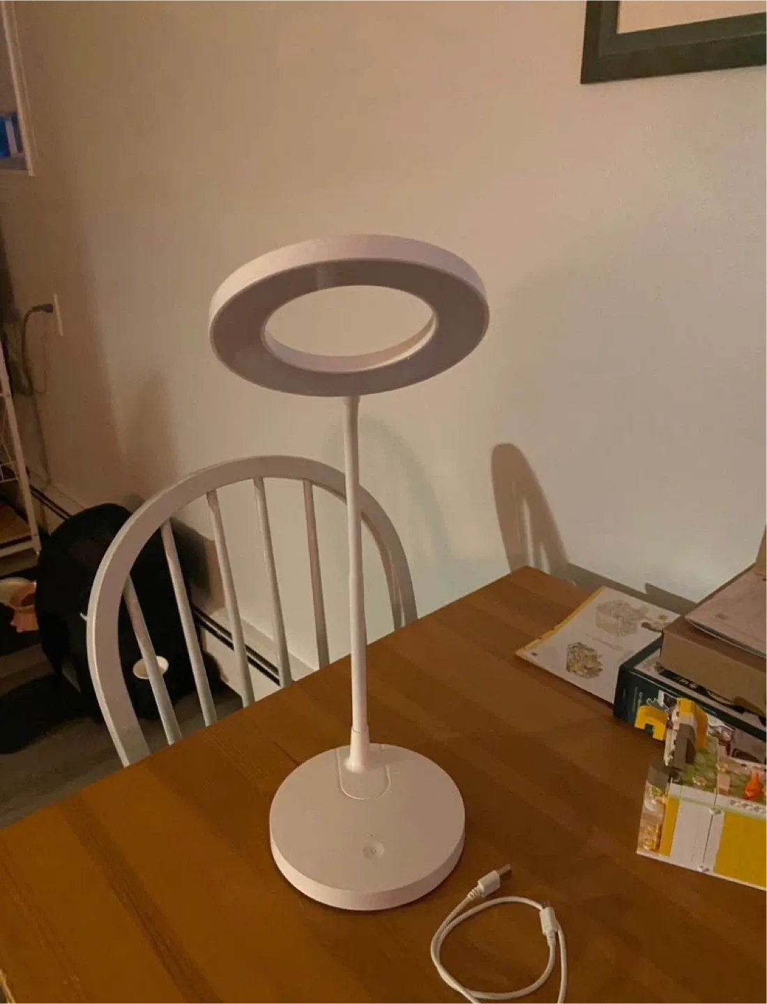 Lamps image indicator(2)