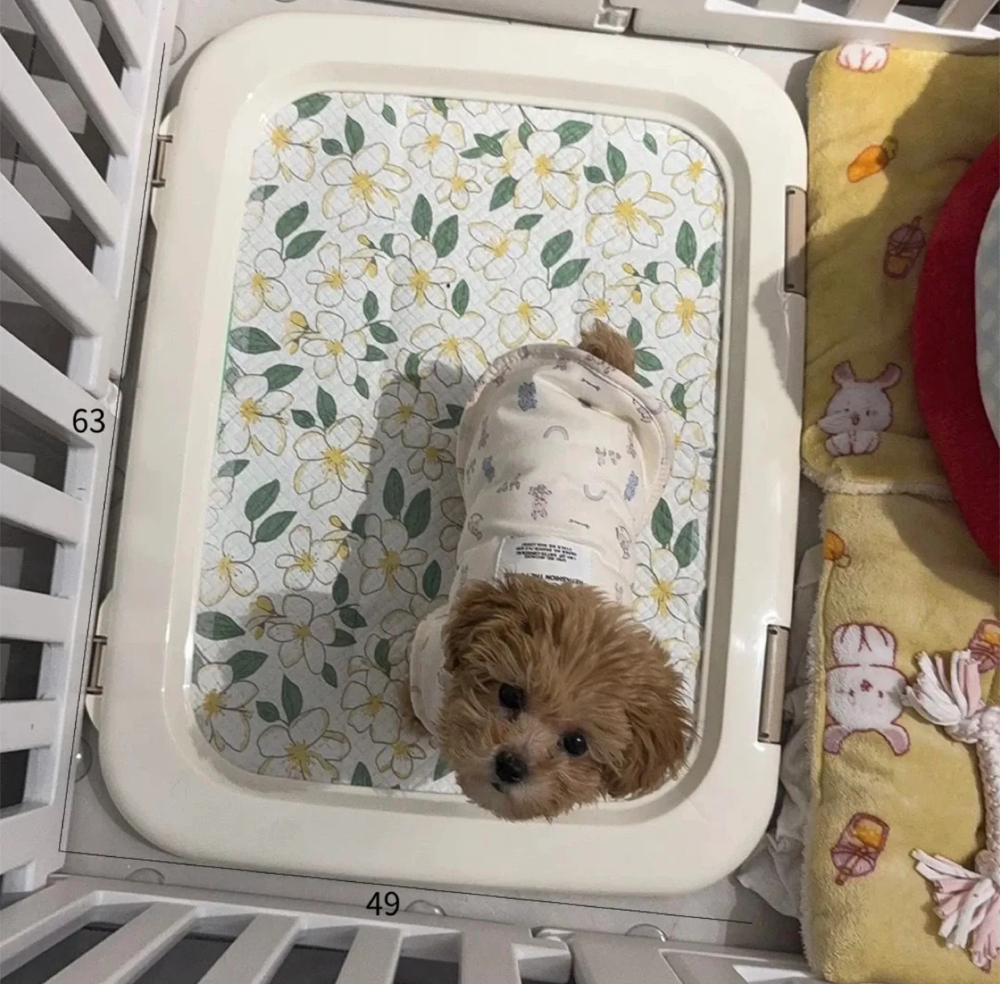 Extra large dog training pad pee pad tray/holder