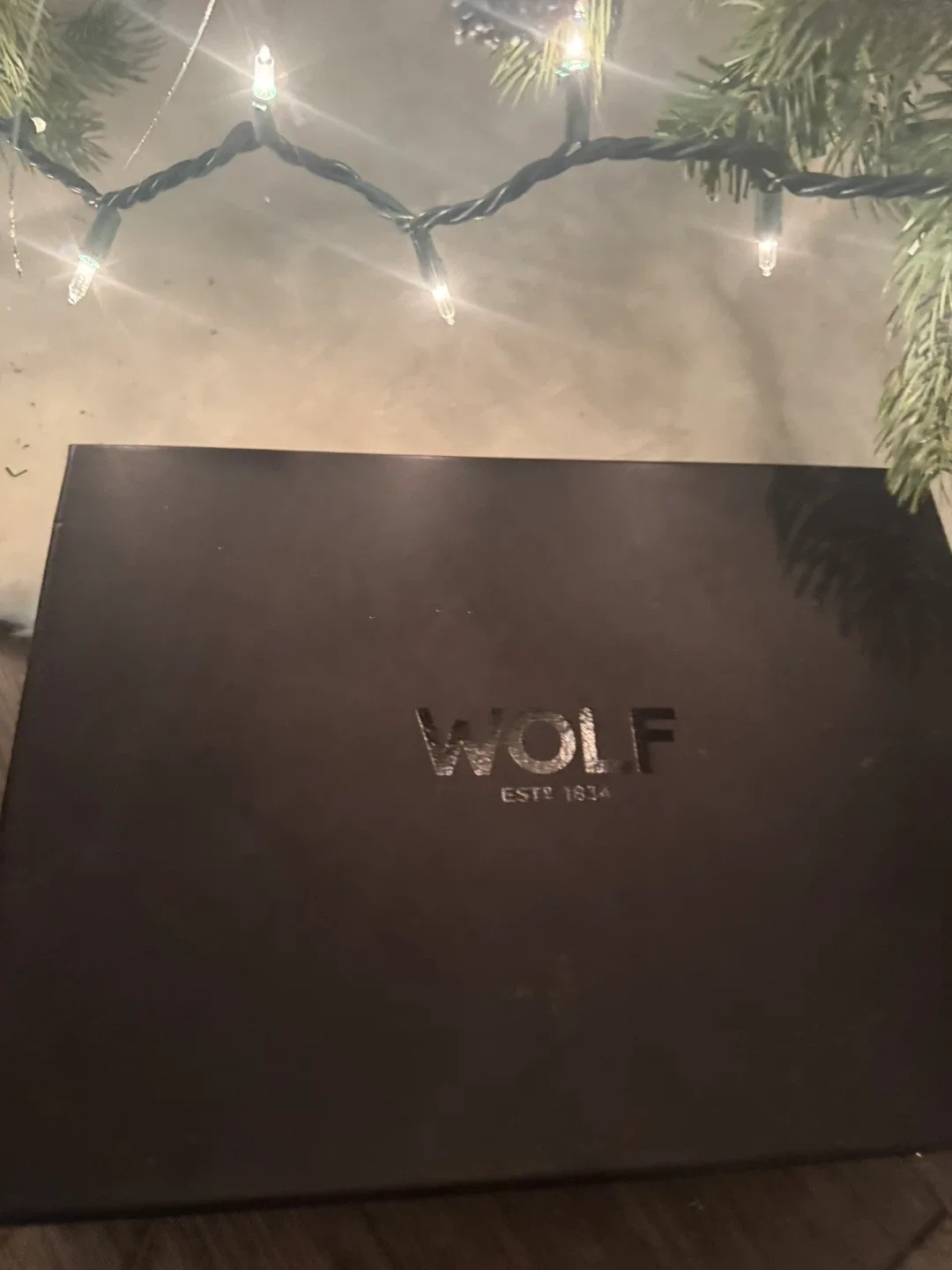 Wolf 1834 Jewelry Box