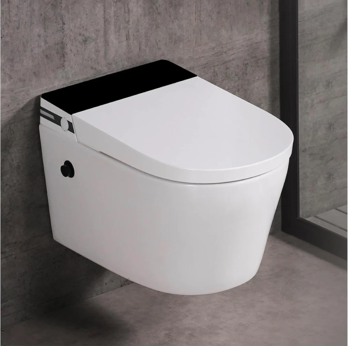 MEJE- Wall Hung Toilet Combo, Wall Mounted Toilet Bowl, White