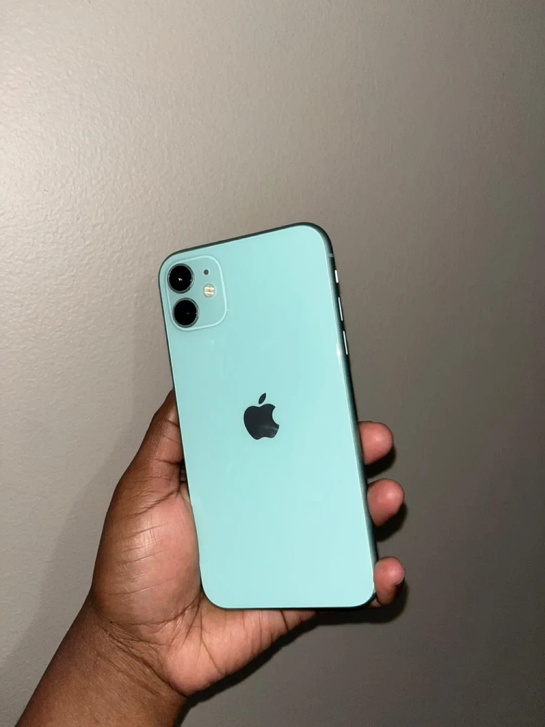 Apple iPhone 11 - Green image indicator(2)