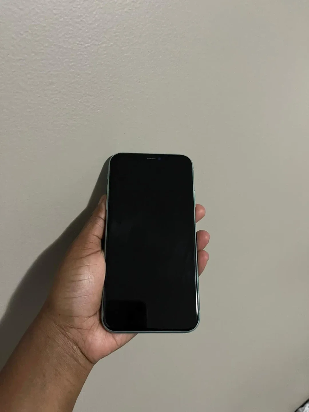 Apple iPhone 11 - Green image indicator(3)