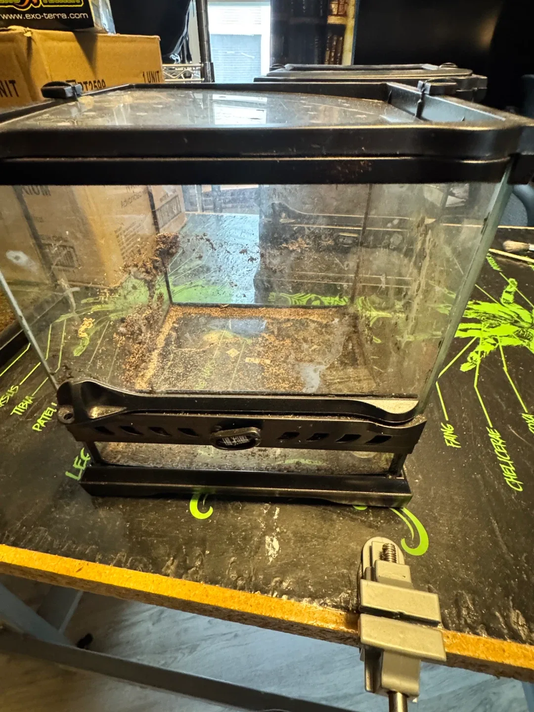 Exo Terra Nano Wide Terrarium 8x8x8" image indicator(6)