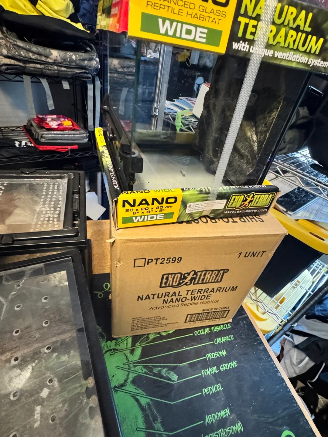 Exo Terra Nano Wide Terrarium 8x8x8" image indicator(2)