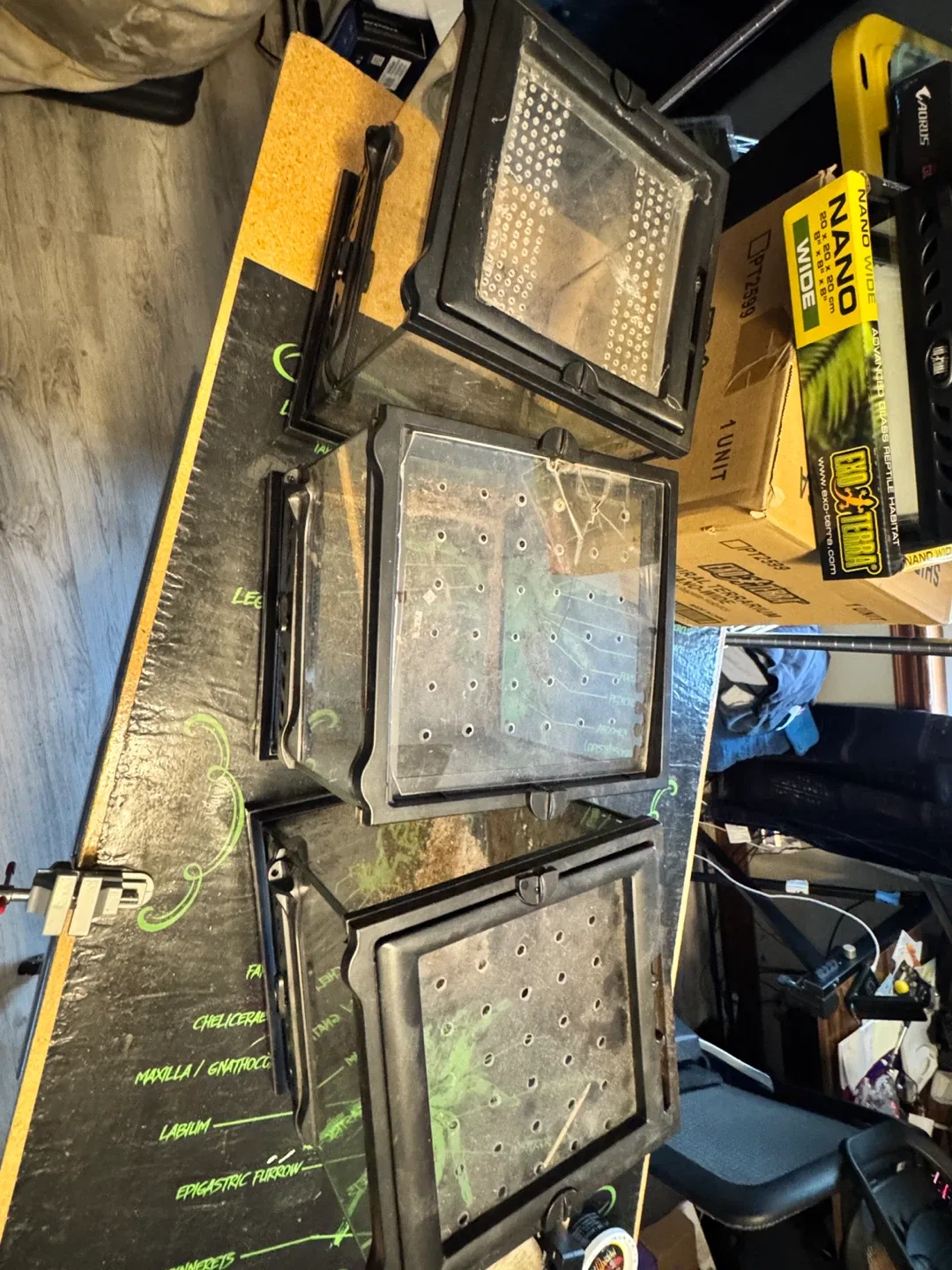 Exo Terra Nano Wide Terrarium 8x8x8" image indicator(4)