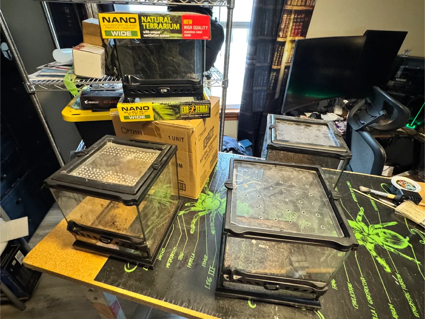 Exo Terra Nano Wide Terrarium 8x8x8"