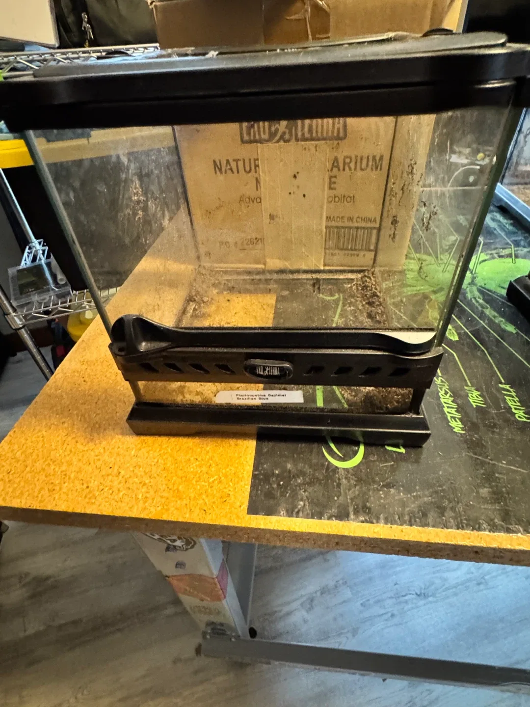 Exo Terra Nano Wide Terrarium 8x8x8" image indicator(7)