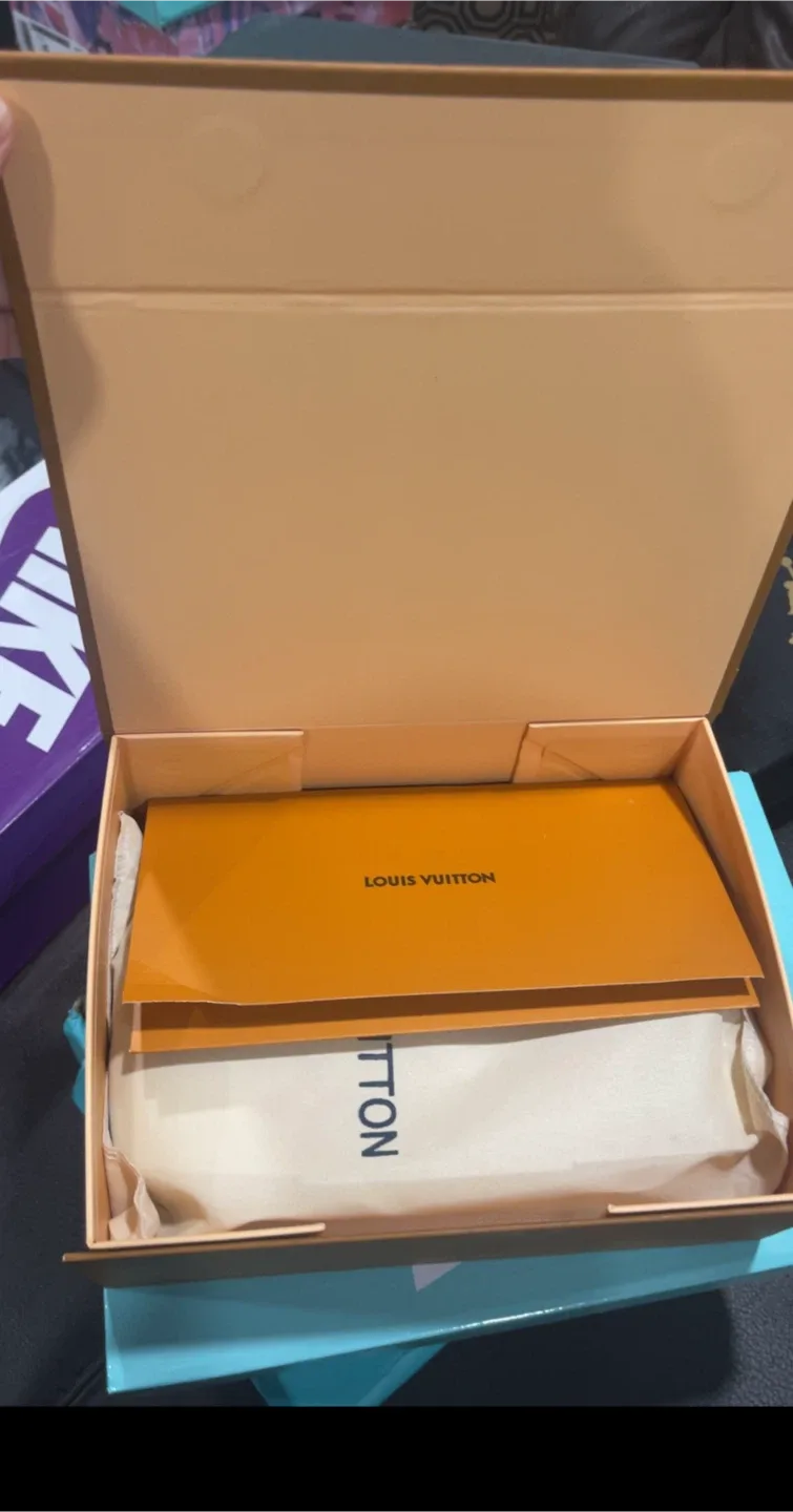 Louis Vuitton Multi Pochette Accessoires image indicator(9)