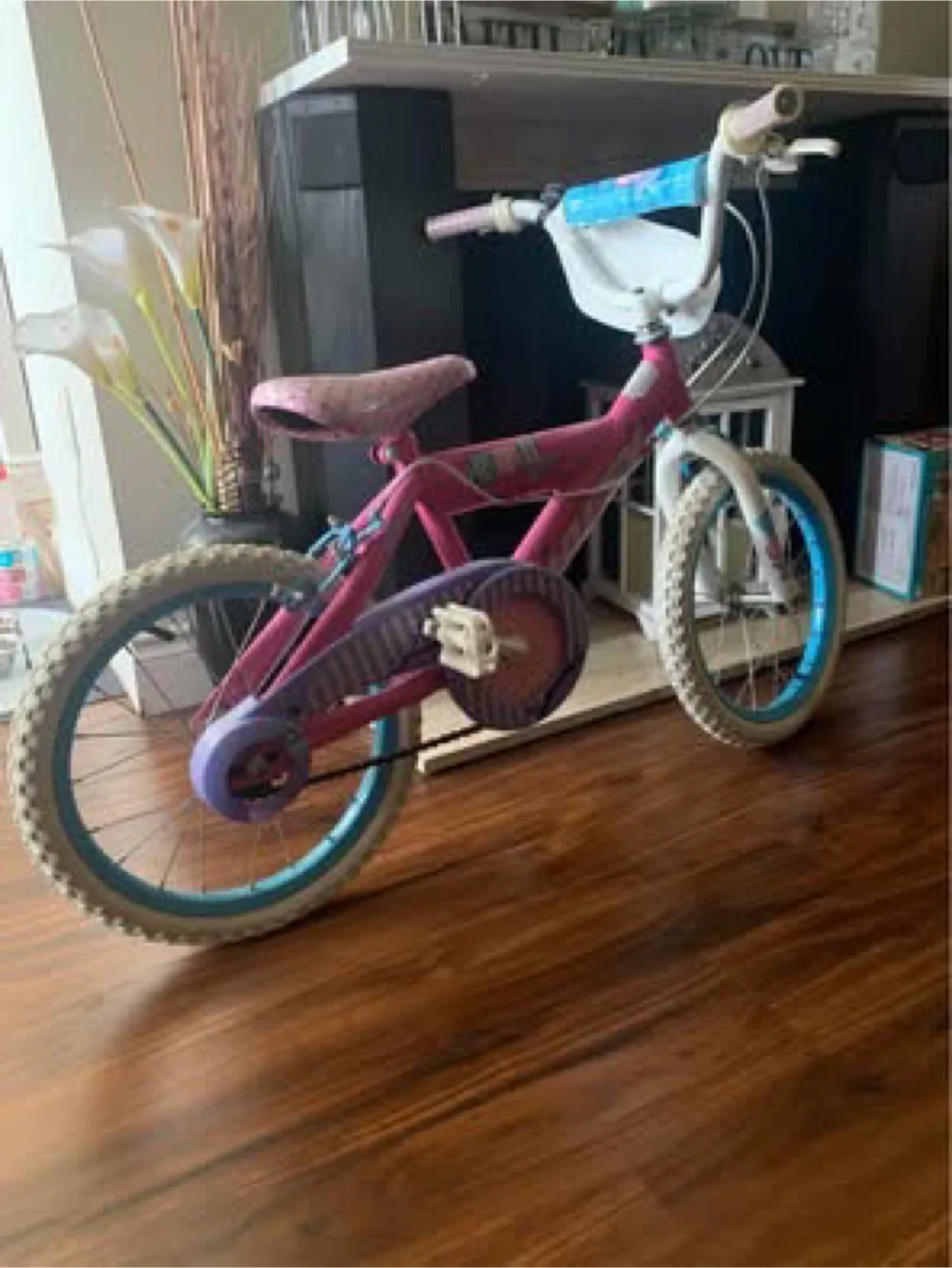 Kids Pink & Purple Bike