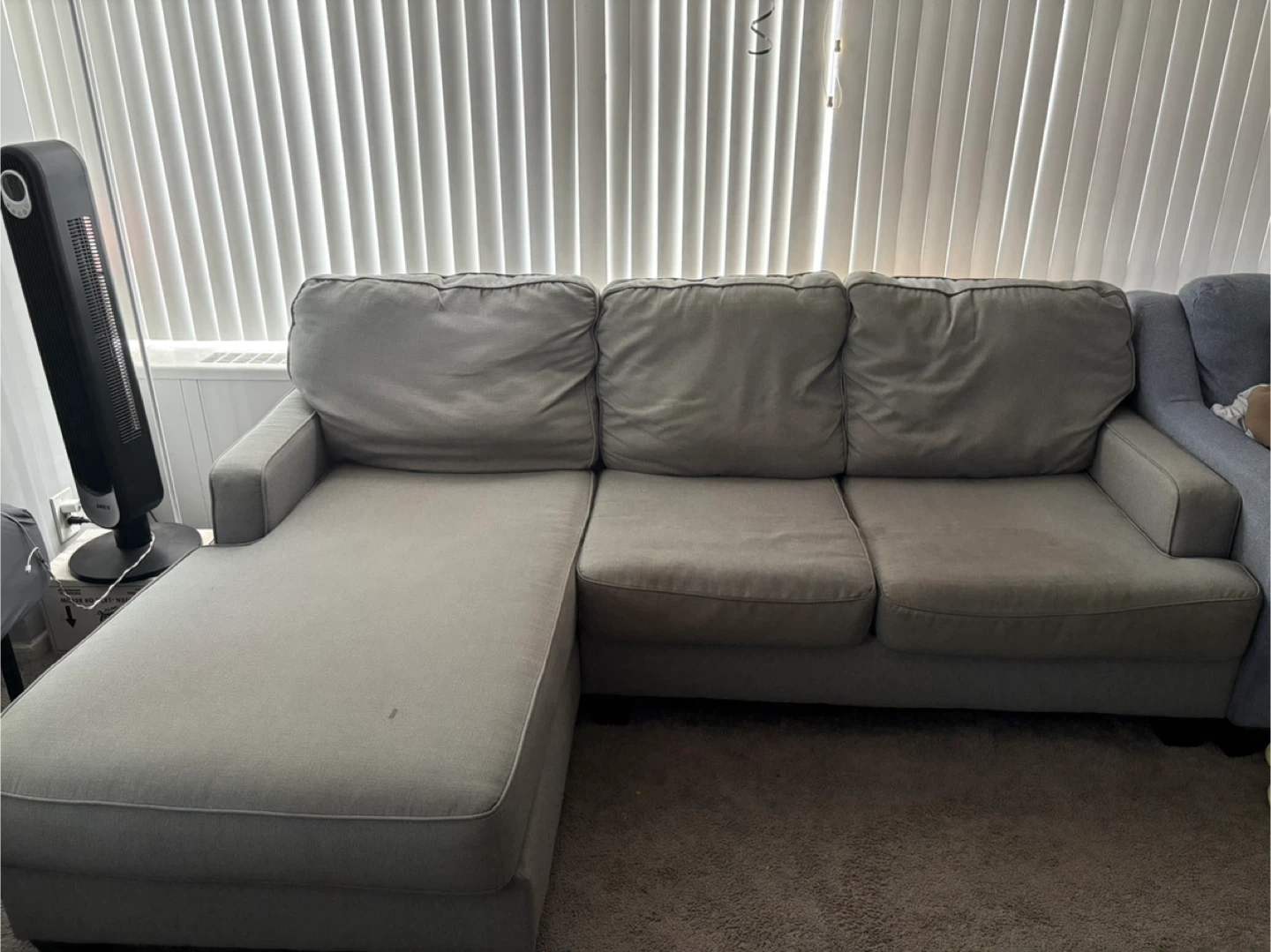 Gray Sectional Sofa with Chaise