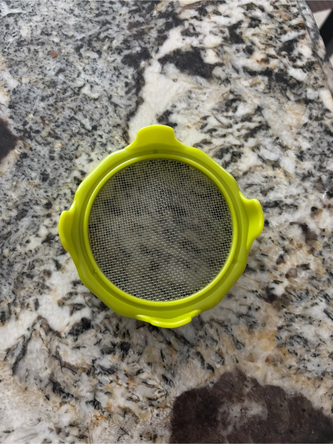 Lime Green Mesh for sprouting lid - Approx 3 Inches - photo 2
