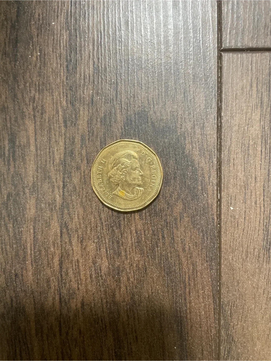 Canadian Loony - 2004 Olympics image indicator(2)