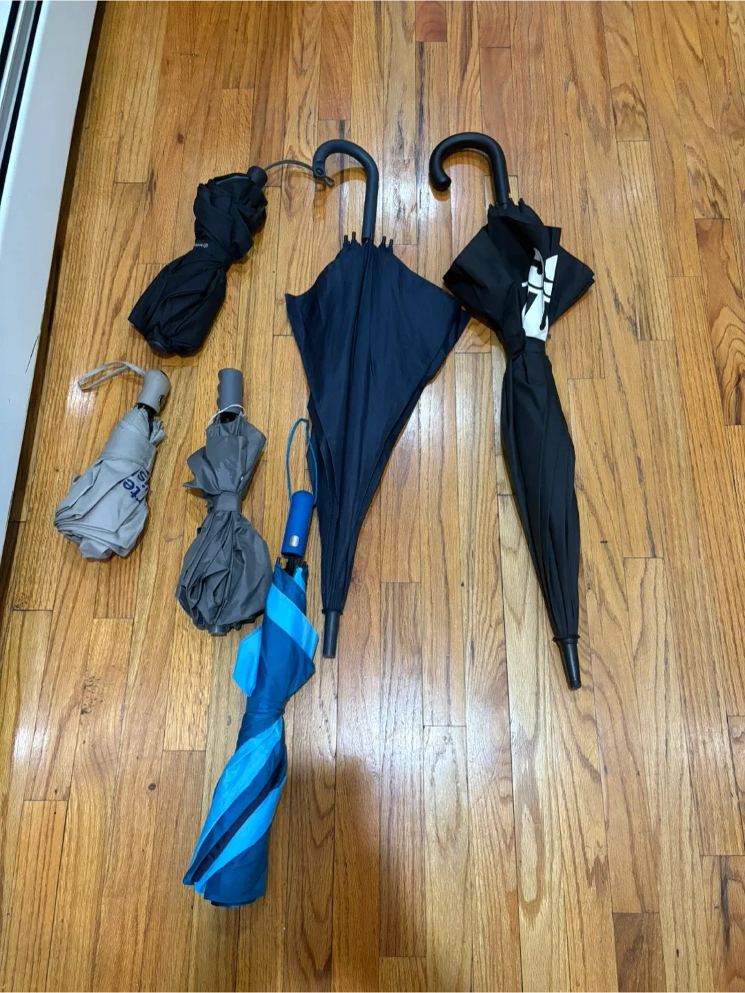 Assorted Umbrellas - Variety of Colors