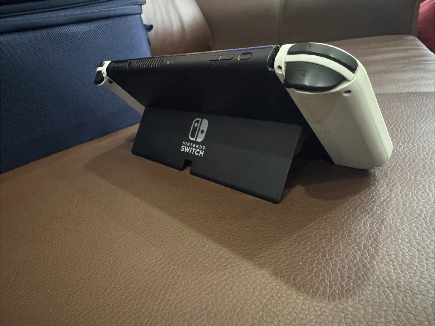 Nintendo Switch image indicator(7)