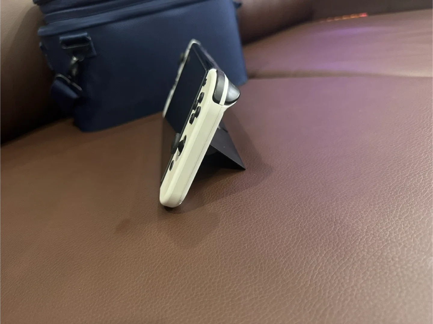 Nintendo Switch image indicator(6)