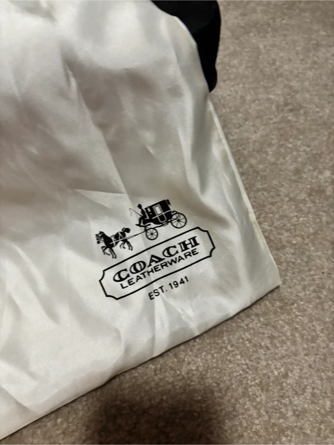 Coach Black Hobo Bag - photo 4