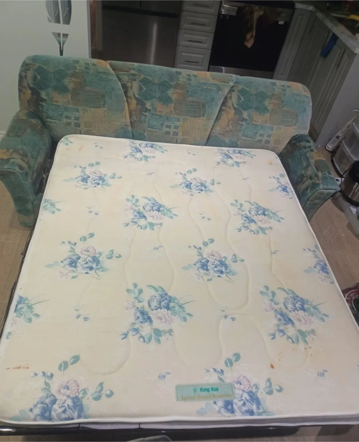 Pull-Out Sofa Bed - Great Condition!