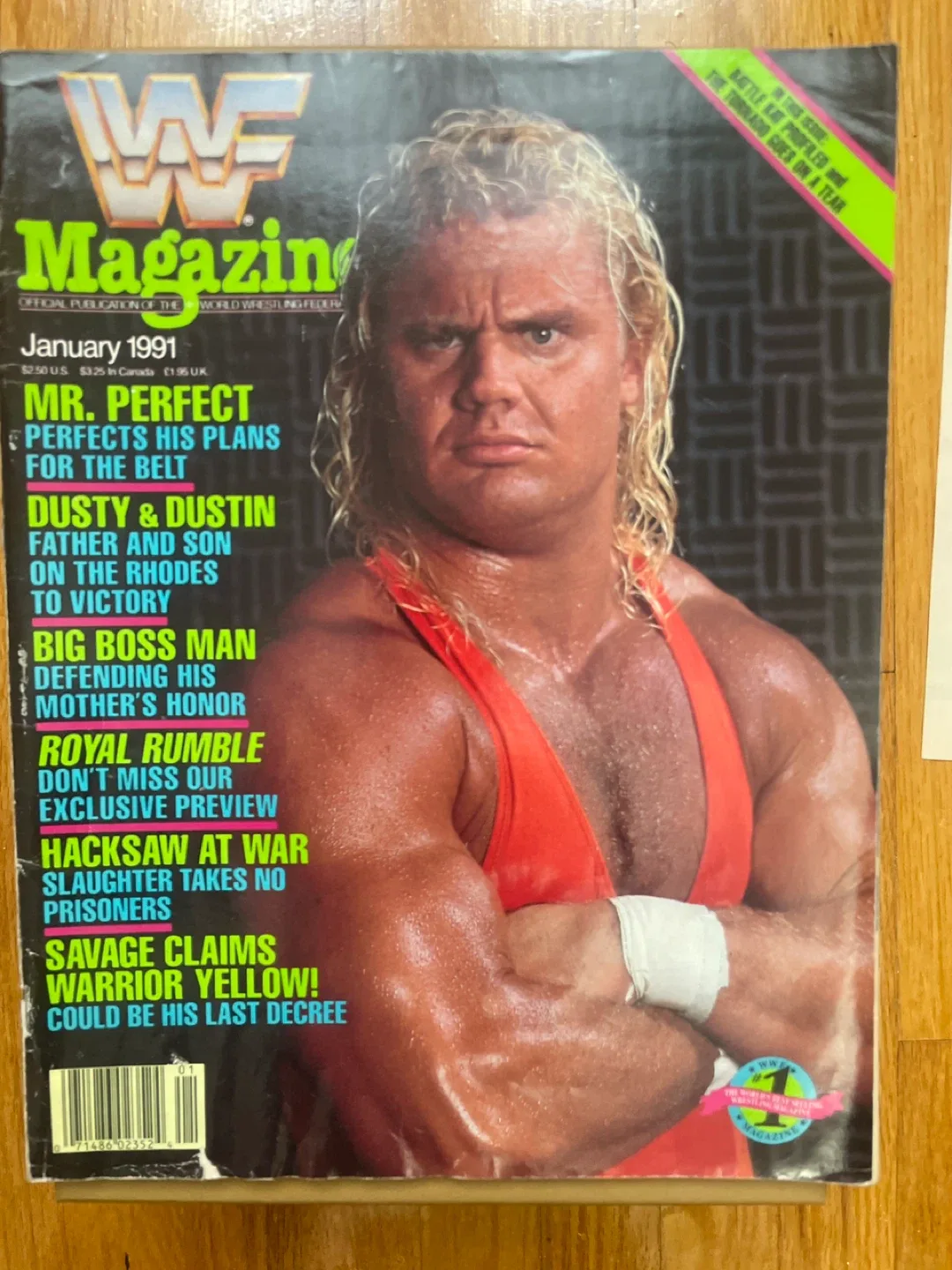 1991 WWF magazine