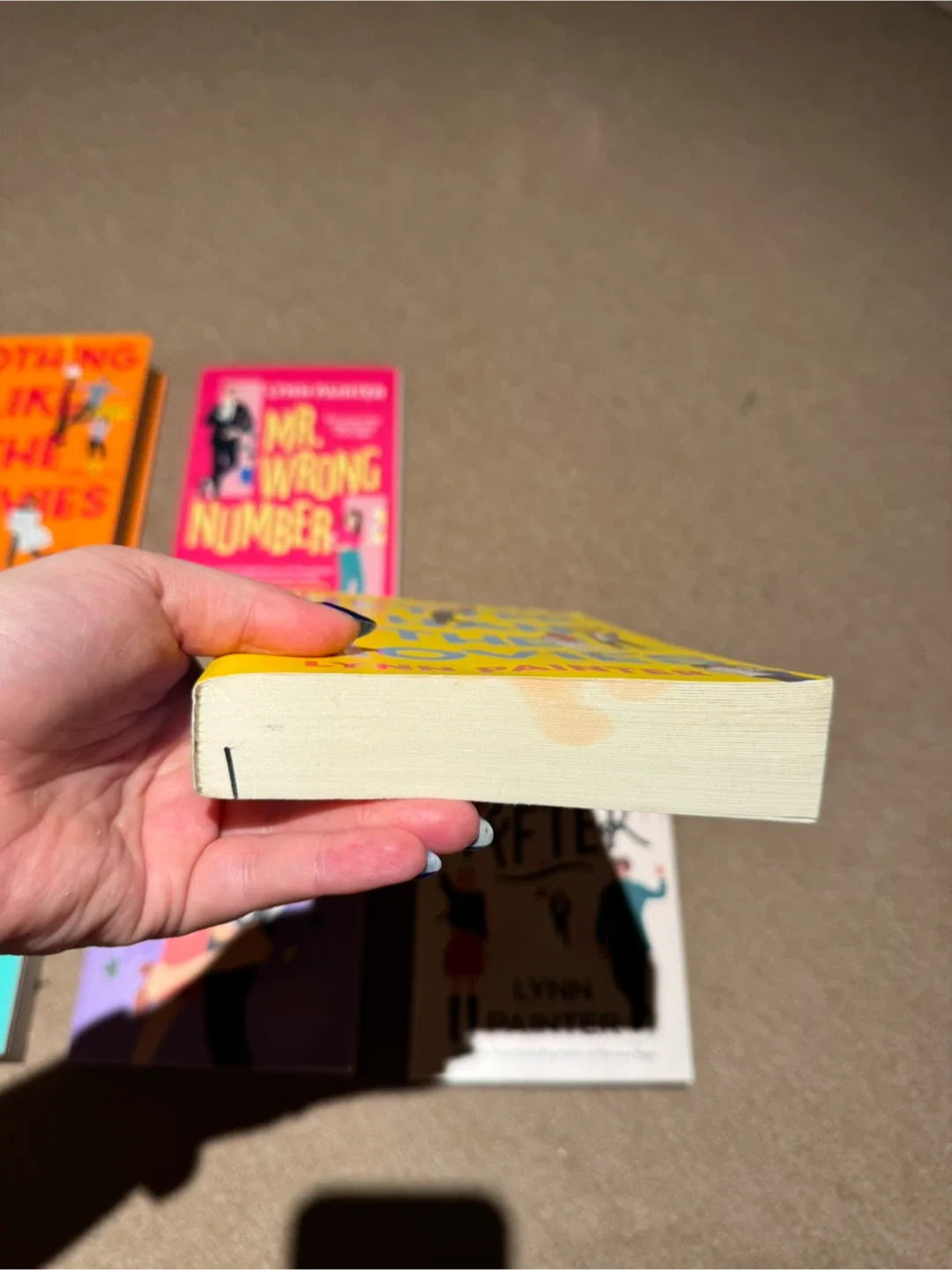 Lynn Painter Books image indicator(2)