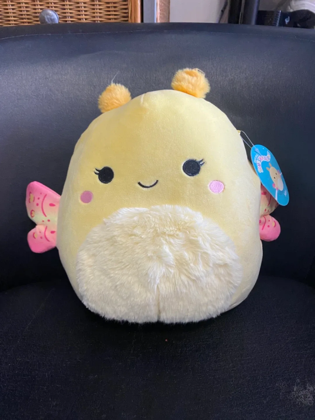 Squishmallows Plush Assortment image indicator(7)