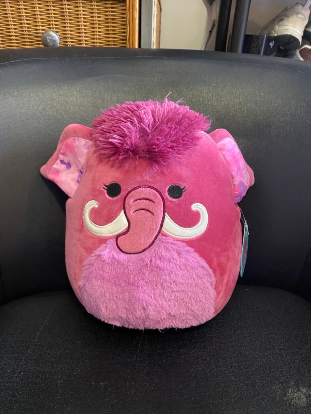 Squishmallows Plush Assortment image indicator(6)