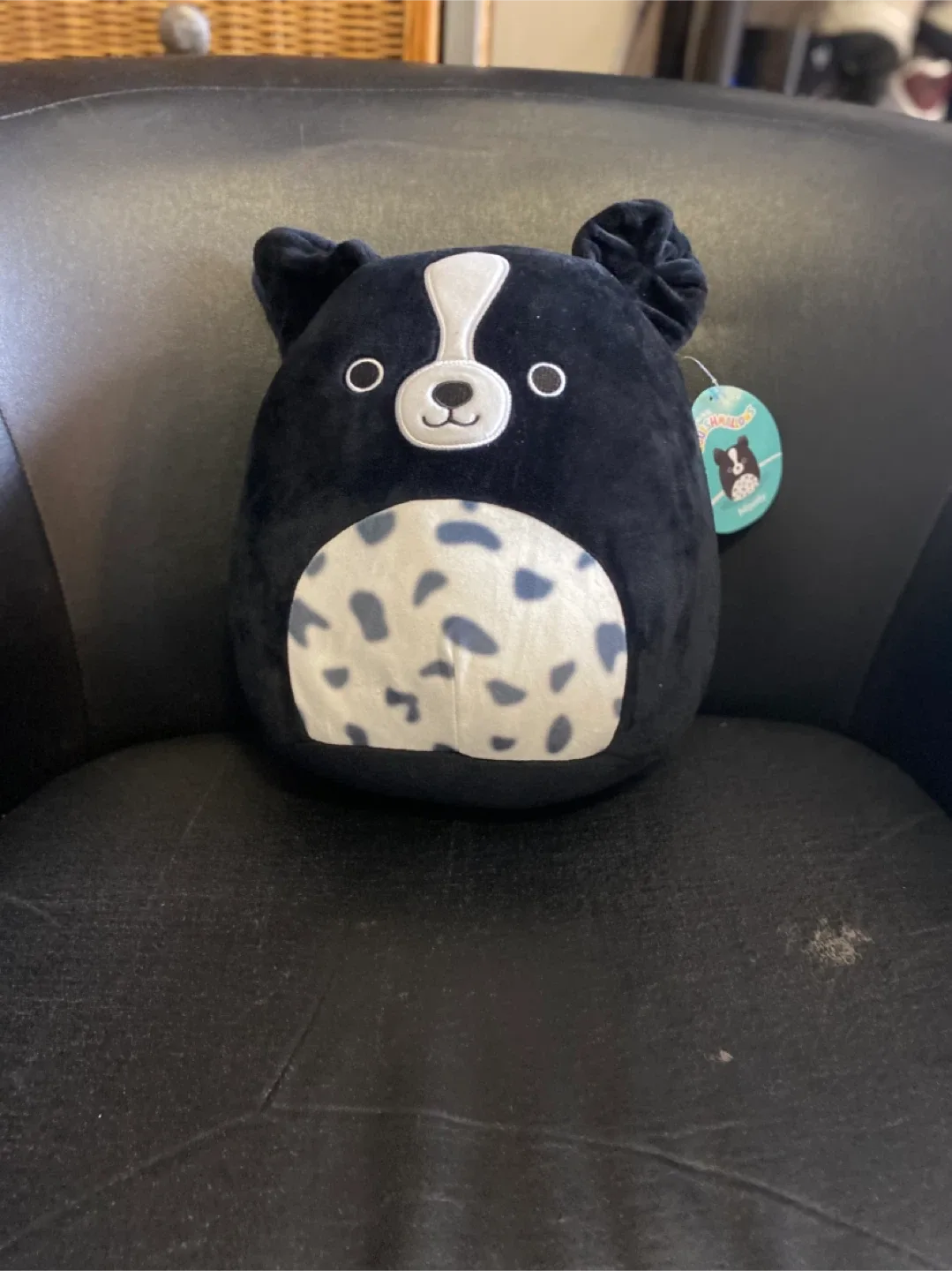 Squishmallows Plush Assortment image indicator(5)