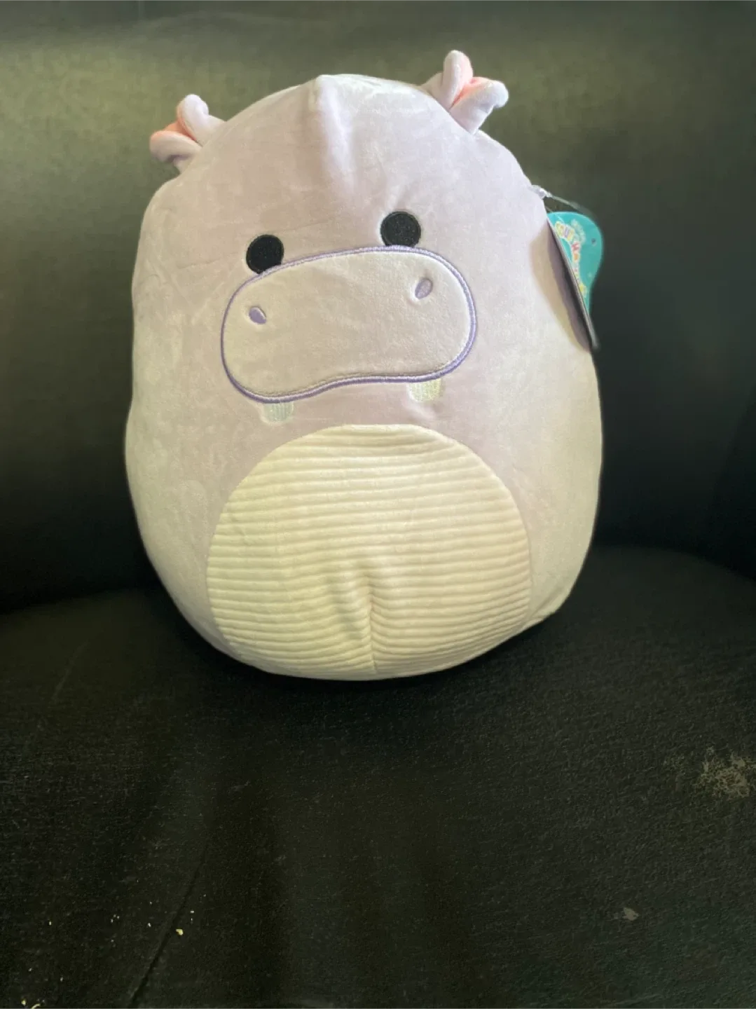 Squishmallows Plush Assortment image indicator(4)