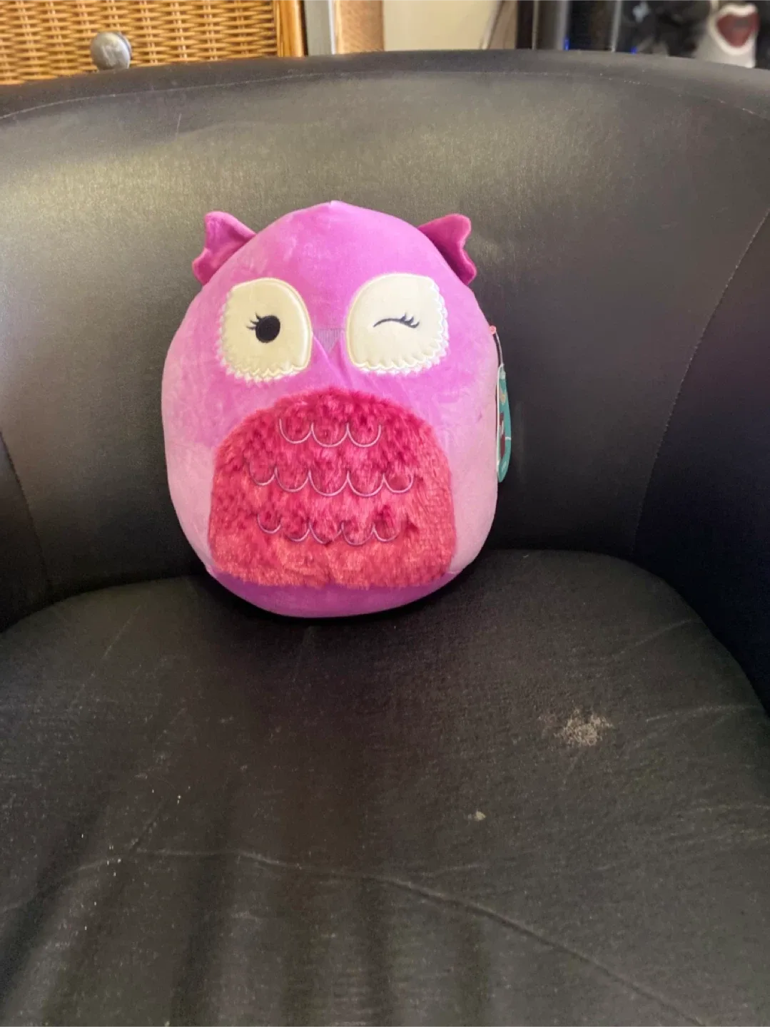 Squishmallows Plush Assortment image indicator(3)