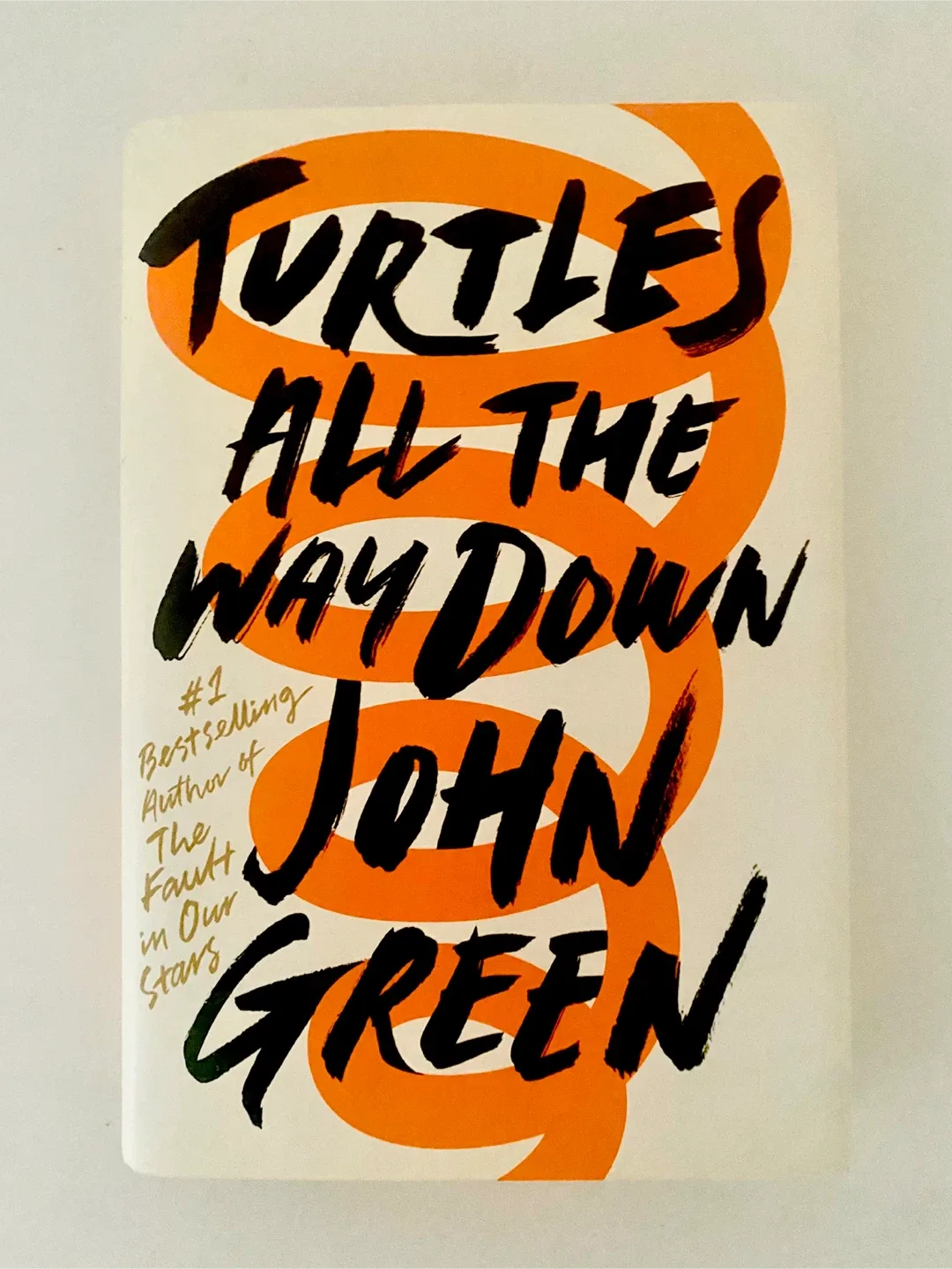 Turtles All the Way Down Hardcover Book #Cleanout
