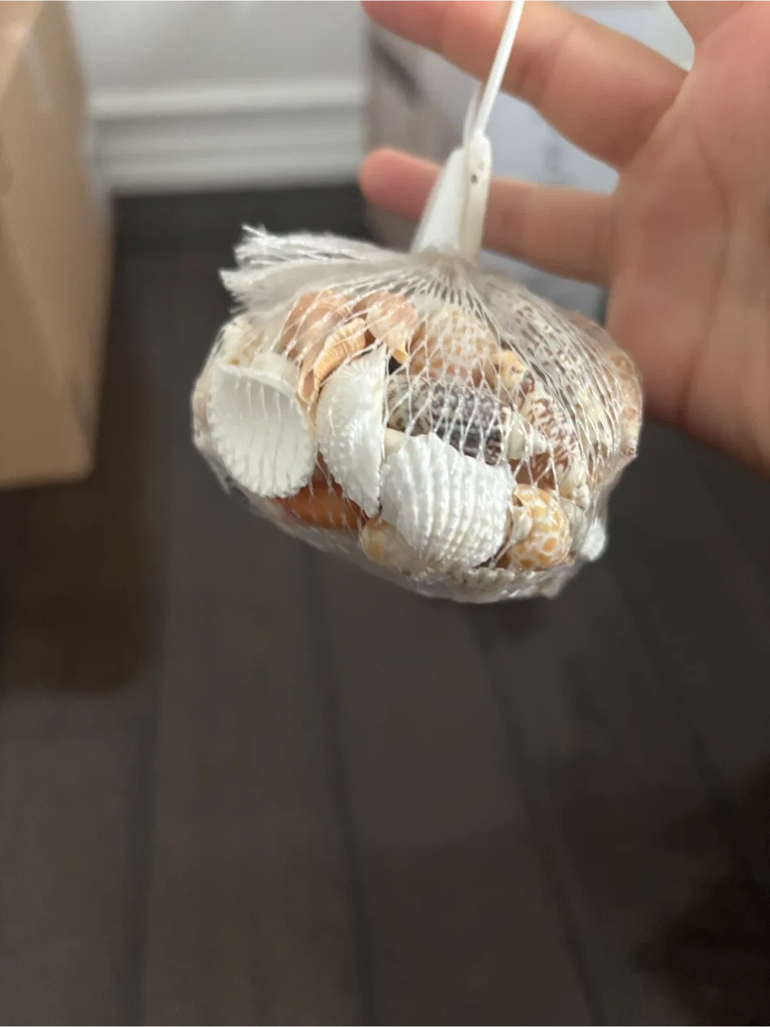 Bag of Seashells