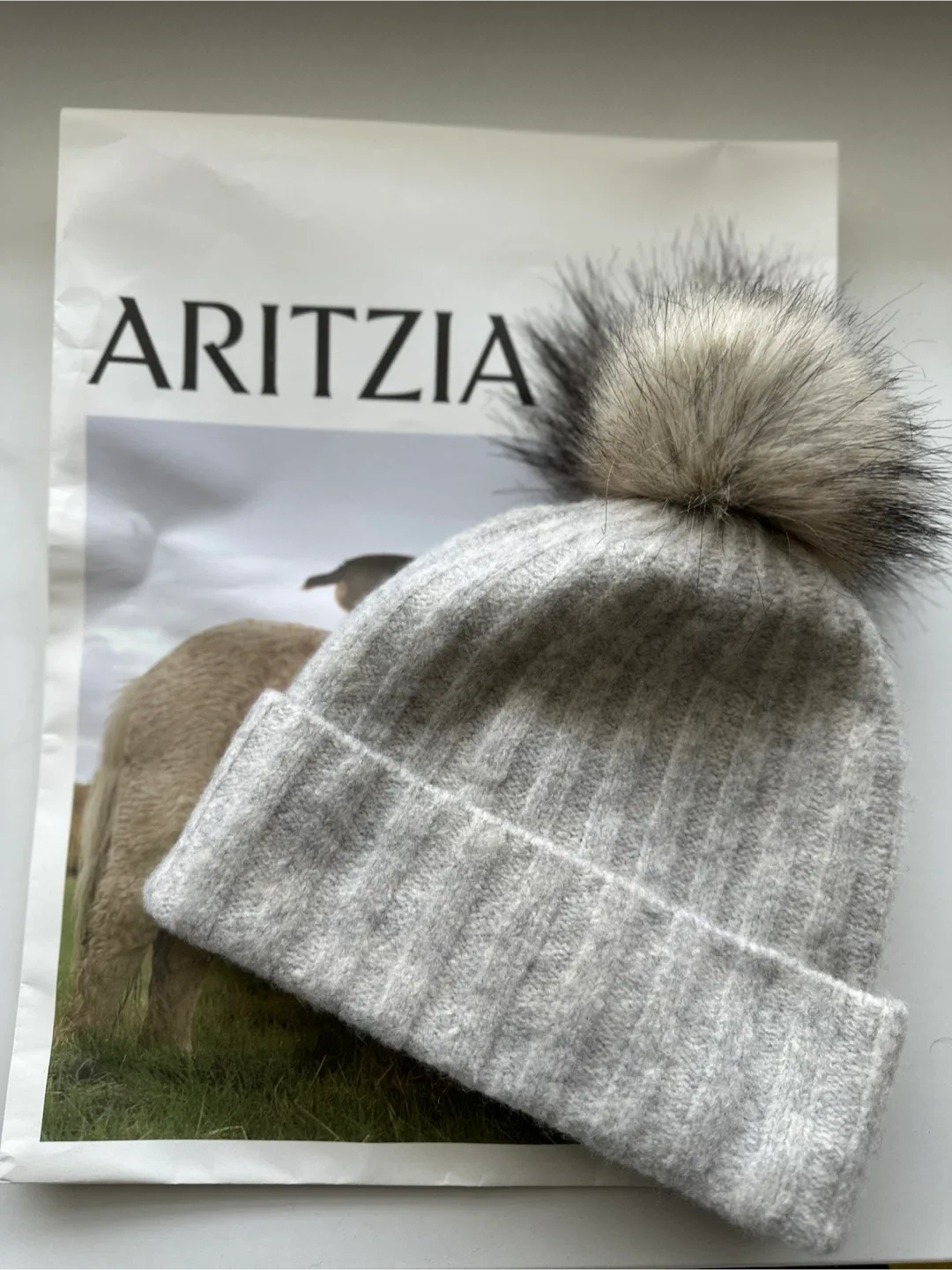 Aritzia pom pom Beanie