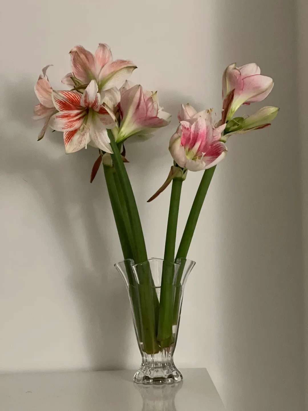 Glass flower vase image indicator(2)