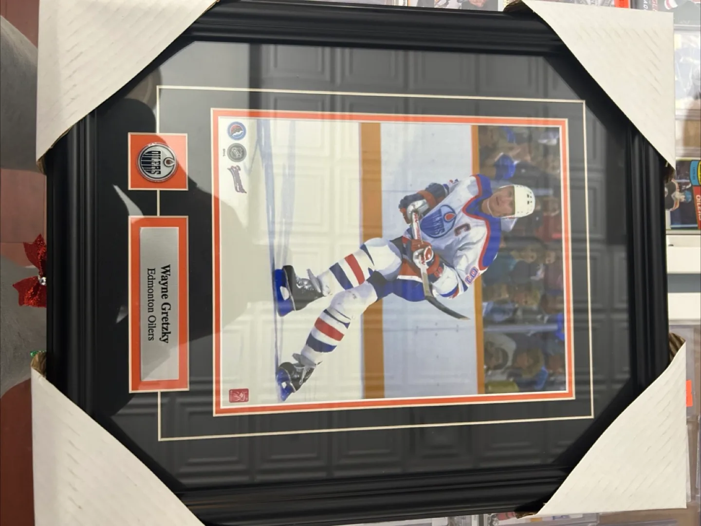 Wayne Gretzky Edmonton Oilers Framed Picture