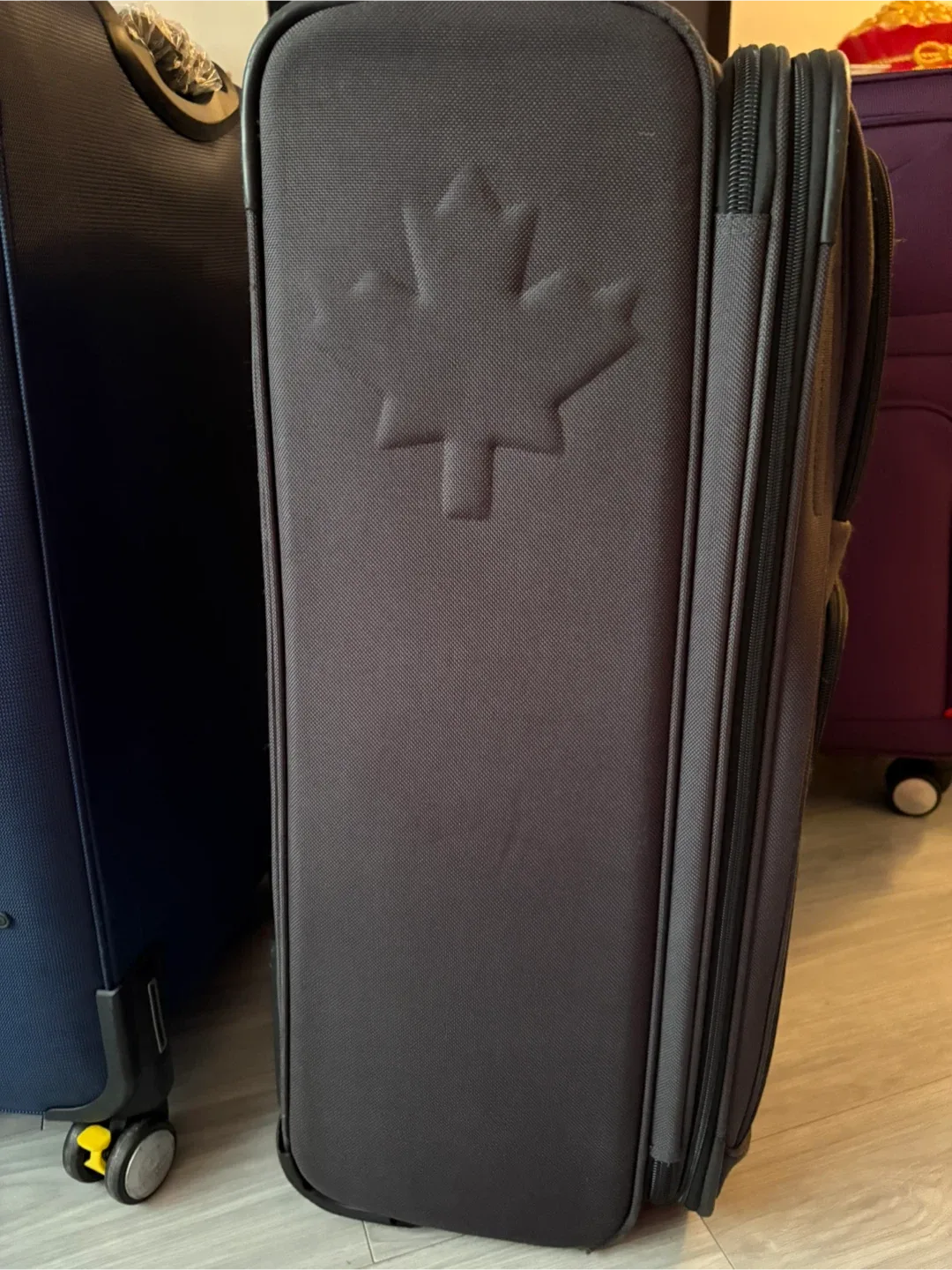 Two wheel Luggage image indicator(2)