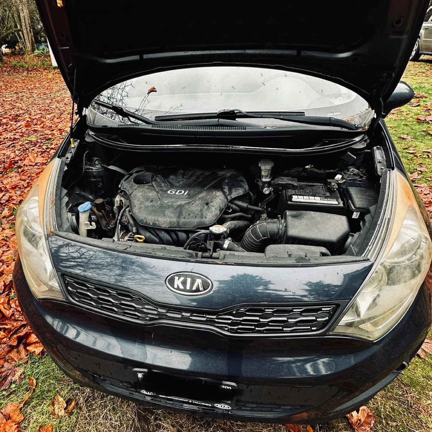 Dark Blue 2013 Kia Rio Hatchback… image indicator(9)